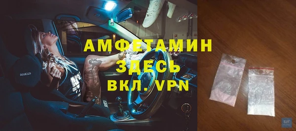 дмт Богданович