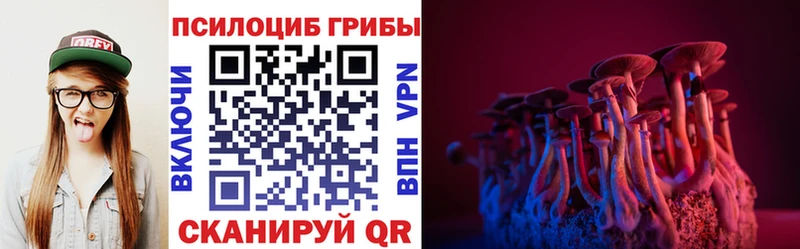 Галлюциногенные грибы Magic Shrooms  Междуреченск 